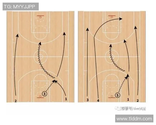 上海排球队快攻战术解析与实战应用探讨