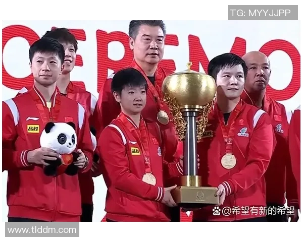 南京乒乓球队在世界杯中的战术表现分析与点评