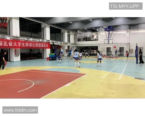 武汉排球队个人能力深度解析与发展潜力探讨