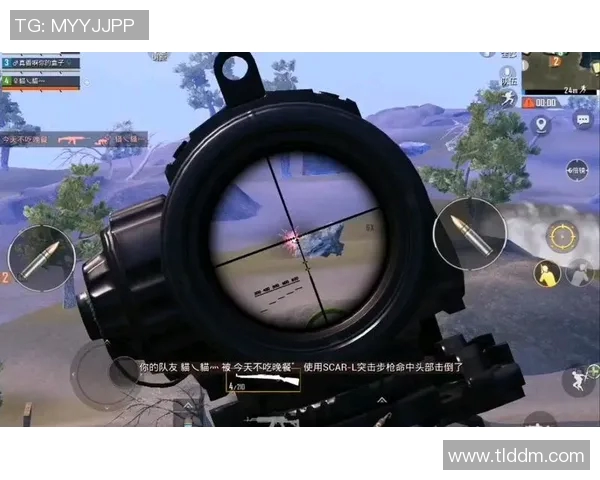 王强谈和平精英发展历程与未来展望的深度专访