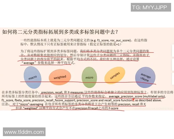 南京极限运动队的包夹策略分析与成效评估
