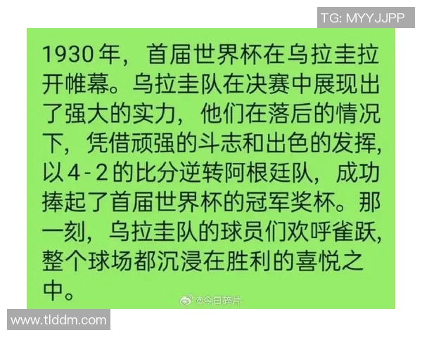 乌字在姓名中的足球明星们展现的风采与成就让我们共同回顾他们的辉煌历程与精彩瞬间